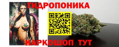 jwh Дубна