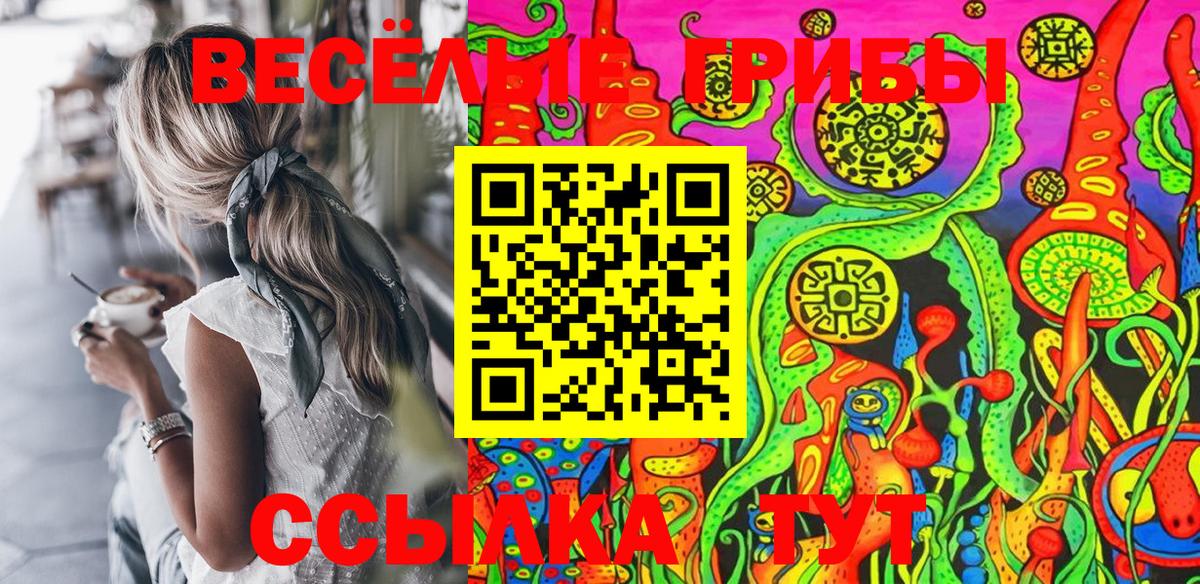 Москва  Псилоцибиновые грибы Psilocybine cubensis  Вход с VPN 