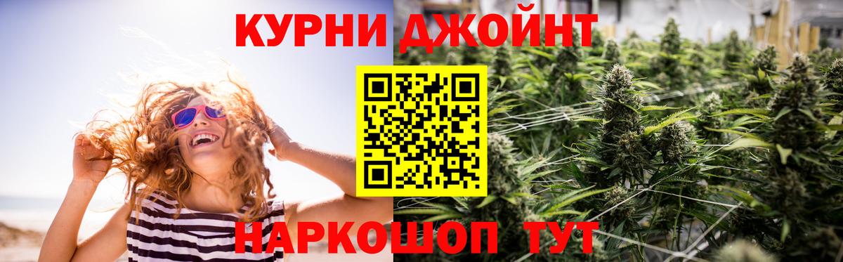 Бошки Шишки семена Москва